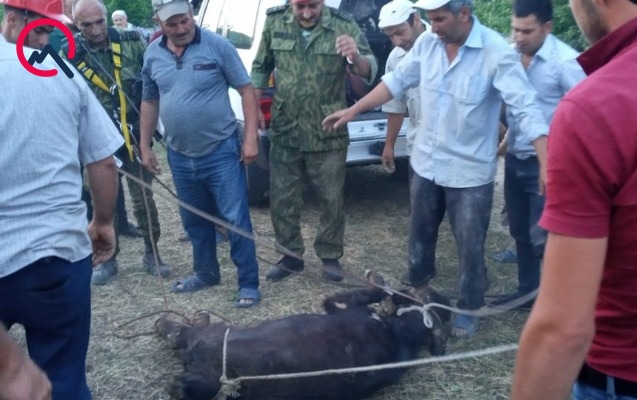 yargana-dusmus-qaramal-xilas-edildi