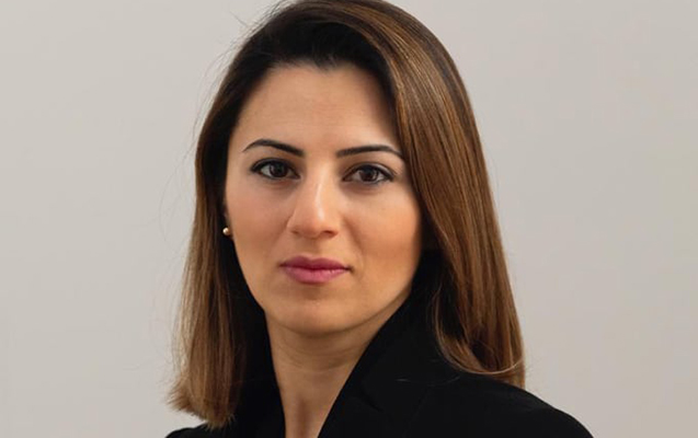 sevinc-feteliyeva-deputat-secildiyi-erazinin-problemlerini-dile-getirdi