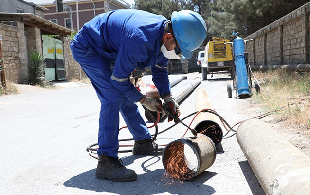 azeriqaz-payiz-qis-movsumune-hazirligina-davam-edir