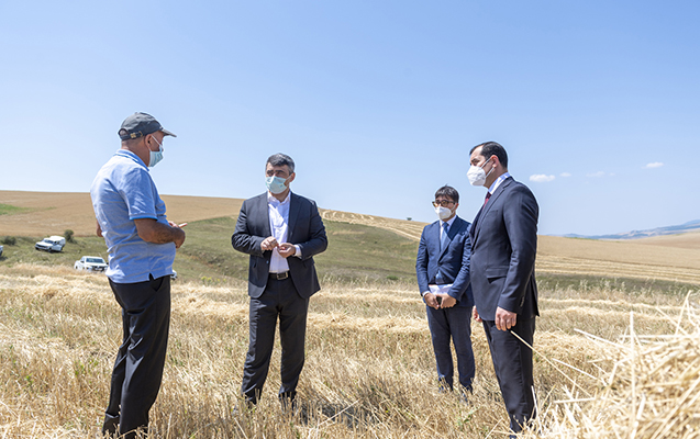 nazir-taxil-bicininin-aparilmasi-prosesinde-istirak-edib