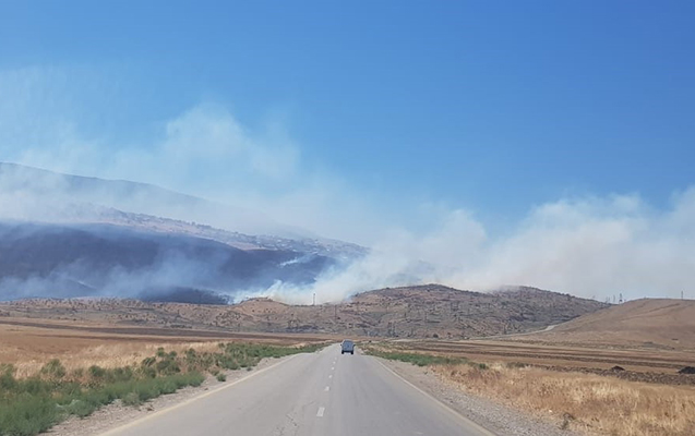etsn-siyezendeki-yanginla-bagli-melumat-yaydi
