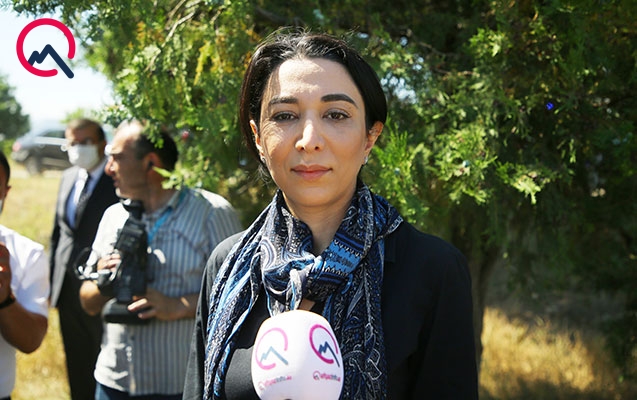 ombudsman-fuad-qehremanli-ve-seymur-ehmedova-bas-cekdi