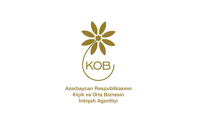 almaniya-azerbaycan-birge-proqrami-onlayn-formatda-davam-etdirilir