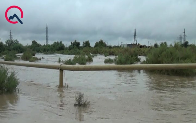 goranboyda-sel-ekin-sahelerine-ziyan-vurdu