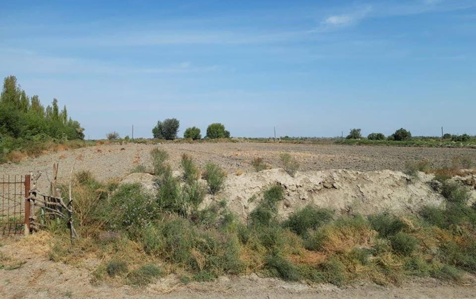 10478-hektar-torpaq-sahesi-qanunsuz-ayrilib