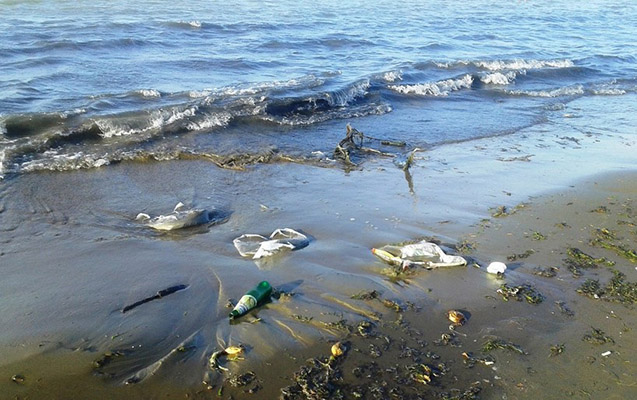 xezerin-sahil-zolagini-cirklendiren-sexs-cezalandirildi