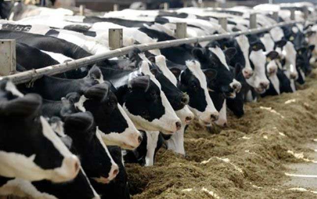 2023-cu-iledek-bezi-mehsullarin-idxalindan-rusum-tutulmayacaq