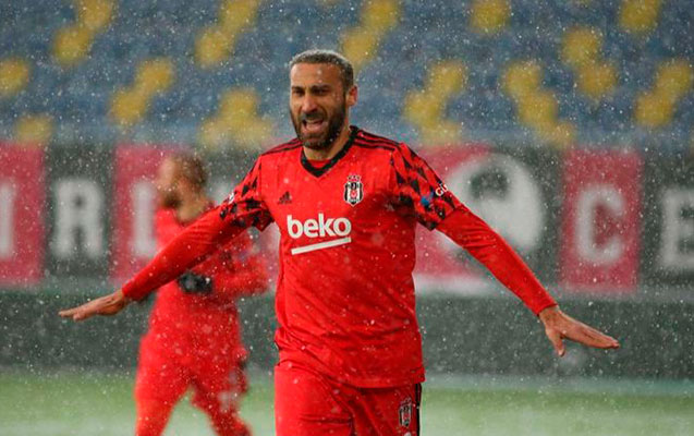 besiktasin-boyukhesabli-qelebesi