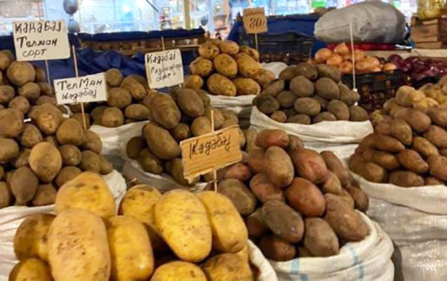 baki-bazarlarinda-yerli-kartof-30-40-qepik-bahalasib