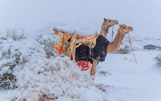 seudiyye-erebistanina-qar-yagir