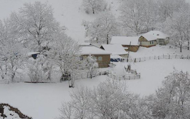 saribasa-47-sm-qar-yagib