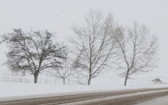 martin-ilk-gunu-gedebeye-qar-yagir