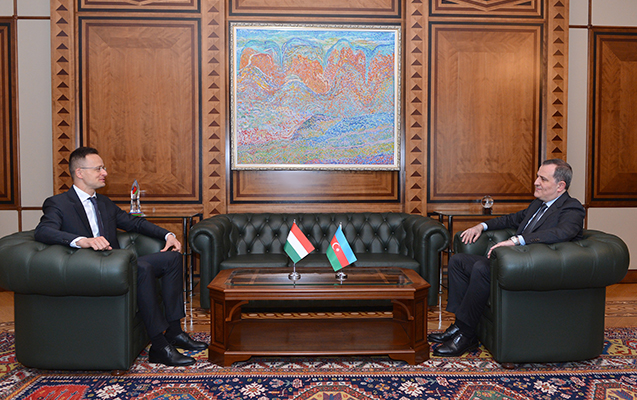 azerbaycan-ve-macaristan-xin-rehberleri-gorusdu