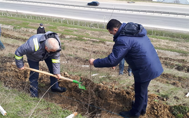 uc-gunde-40-minden-cox-agac-ekilib