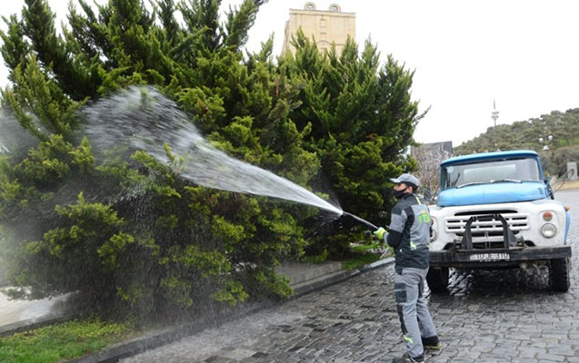 bakida-agaclar-yuyulur-yasilliqlara-qulluq-edilir