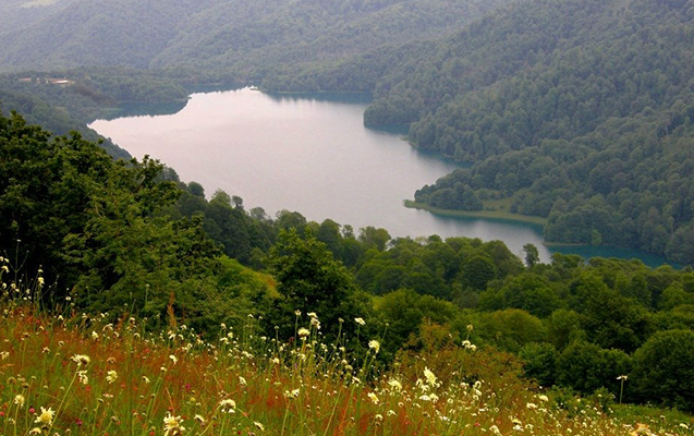 goygol-milli-parkinda-aciq-qapi-gunu-kecirilecek