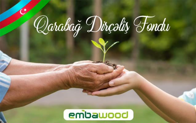 embawooddan-qarabag-dircelis-fonduna-100-min-manat-iane