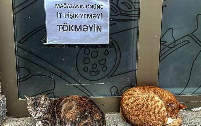 magazanin-qarsisindaki-elan-tenqid-edildi