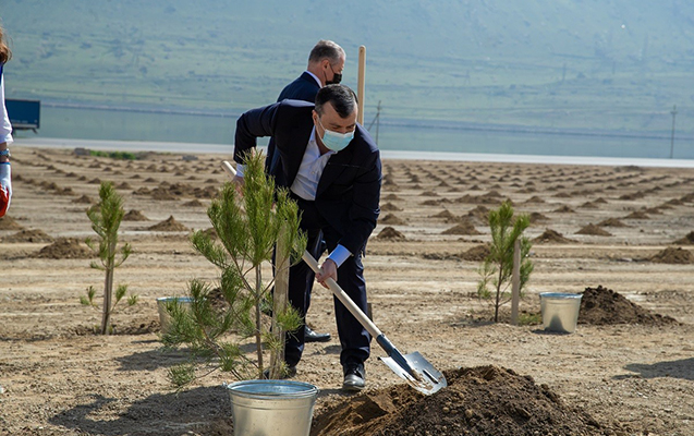 nazirlik-emekdaslari-agacekme-aksiyasina-qosuldu