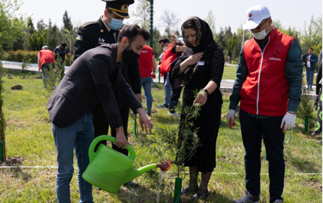 kapital-bank-ve-qirmizi-urekler-sehidlerin-xatiresine-agac-ekdiler