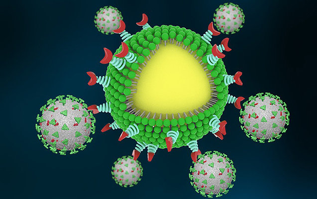 Koronavirusa qarşı nanotexnologiya tətbiq oluna bilər