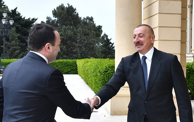 prezident-qaribasvilini-qebul-etdi