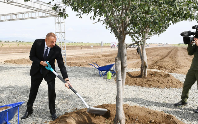 Prezident Ağdam şəhər meşə-parkında ağac əkdi