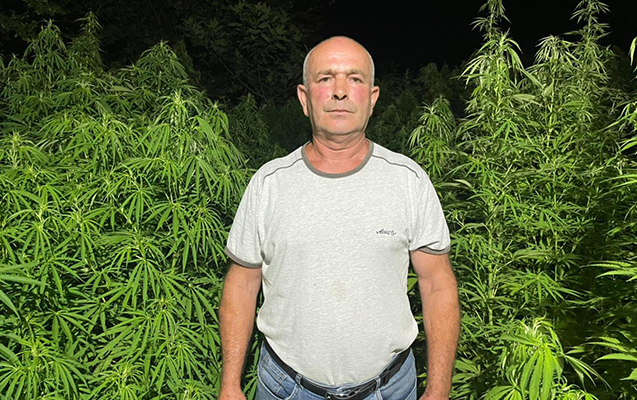 heyetinde-7-ton-narkotik-yetisdiren-sexs-saxlanildi