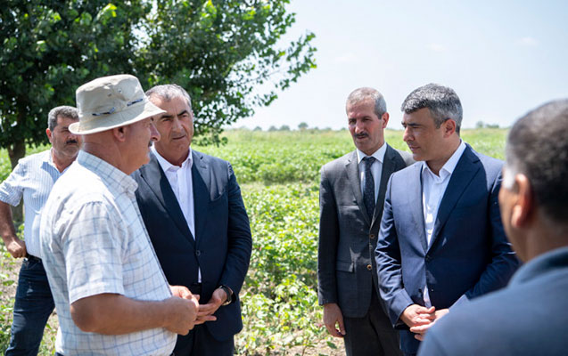 inam-kerimov-salyanda-fermerlerle-gorusdu