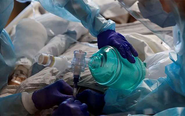 abs-da-meymun-ciceyi-virusu-askarlandi