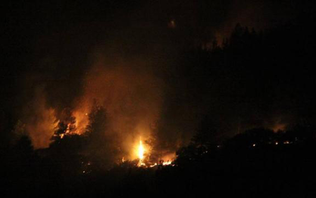 turkiyede-daha-bir-vilayetde-yangin