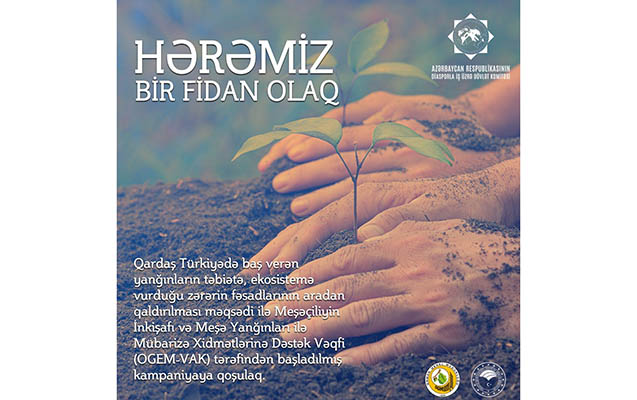 dunya-azerbaycanlilarinin-turkiyeye-hemreylik-numayisi