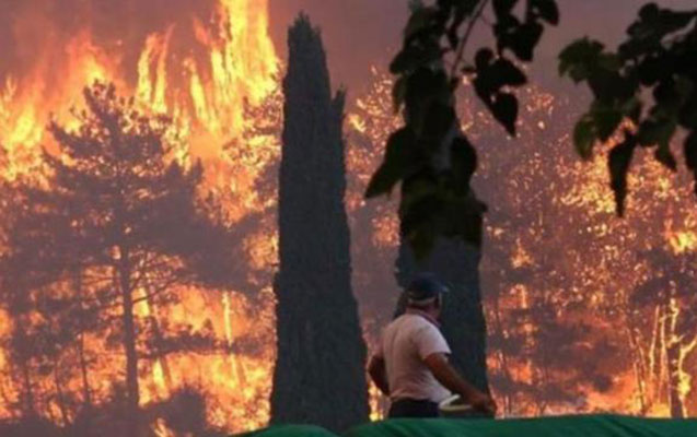 Antalyada meşəni yandıran 16 yaşlı yeniyetmə həbs edildi