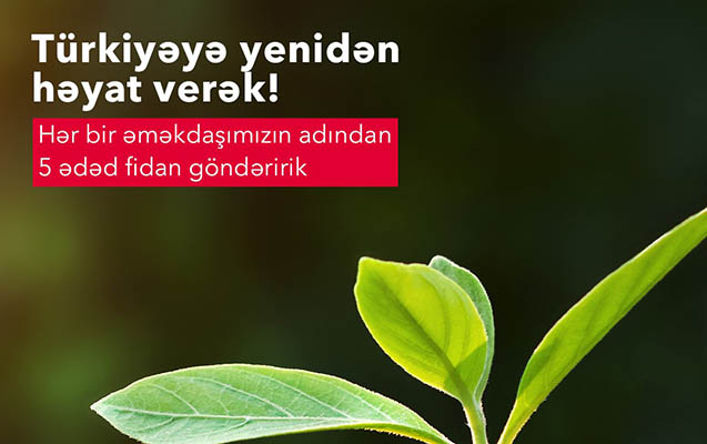 accessbank-turkiyeye-6000-dek-agac-tingi-bagislayacaq