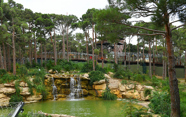 zooloji-park-yenidenqurmadan-evvel-ve-sonra