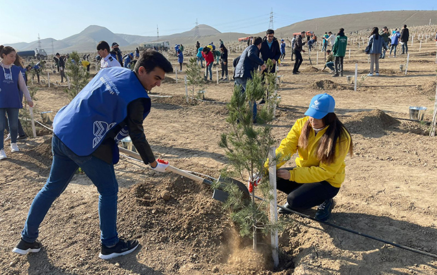 etsn-in-teskilatciligi-ile-xocahesen-golu-etrafinda-agaclar-ekildi