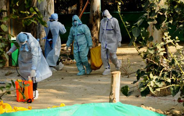 ingilterede-insana-qus-qripi-yoluxdu