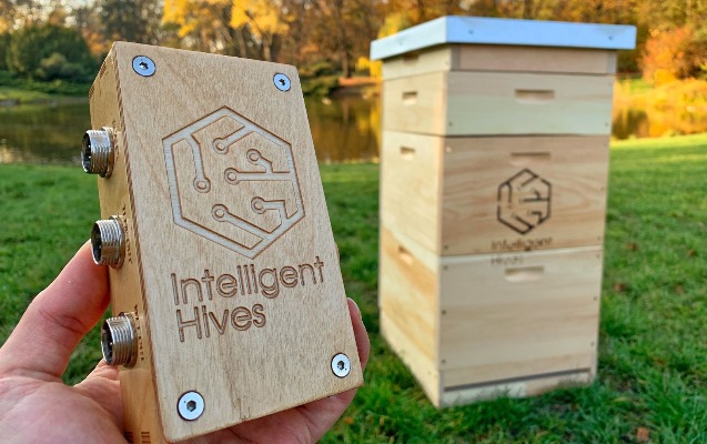 azerbaycanda-agilli-ari-yesikleri-istehsal-edilecek