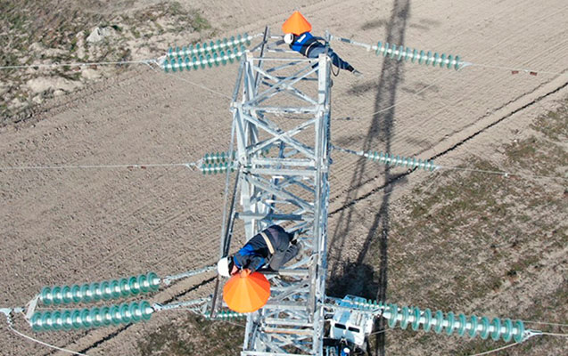 quslarin-elektrik-xetlerinden-qorunmasi-ucun-yeni-layihe