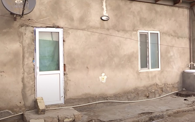 2-yasli-usagi-bu-evde-gizledibler