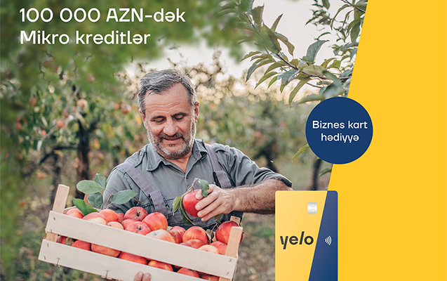 axtardiginiz-mikrokredit-yelo-bank-da