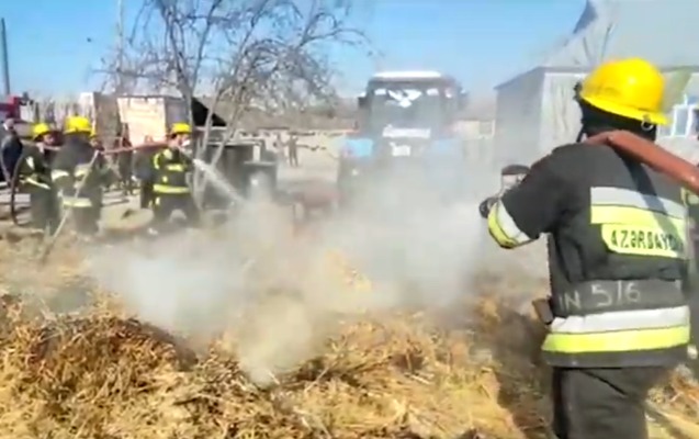 oten-sutka-2-nefer-xilas-edilib