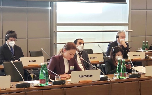 eesmn-in-sobe-mudiri-atet-in-forumunda-cixis-etdi
