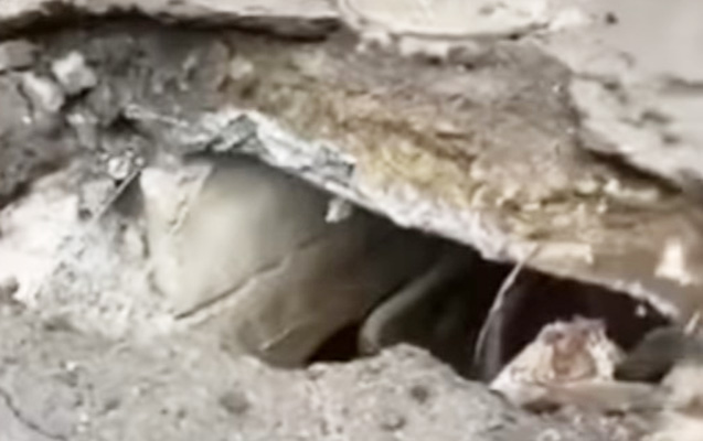 xarkovu-cehenneme-cevirdiler-bombalarin-altinda-seheri-terk-etdik