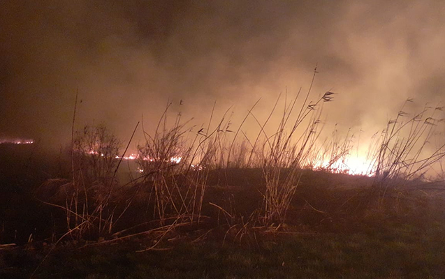 goranboyda-1-hektar-sahe-yanir