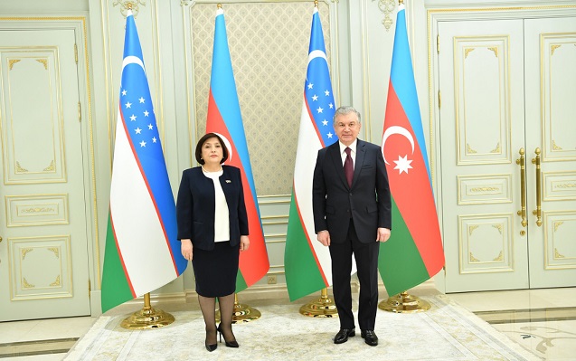ozbekistan-prezidenti-sahibe-qafarovani-qebul-etdi