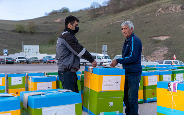 daskesende-ariciliq-teserrufatinin-inkisafina-destek-layihesi-icra-edilib