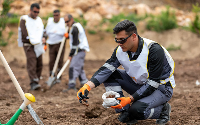azergold-ilk-defe-qizil-medeninde-rekultivasiya-islerine-baslayib