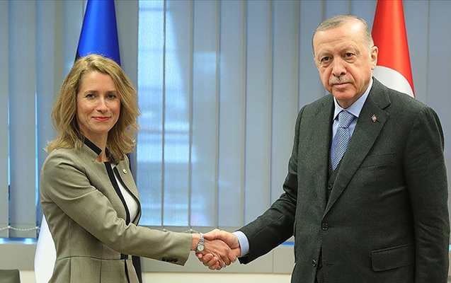 erdogan-estoniya-bas-naziri-ile-ukraynani-muzakire-etdi