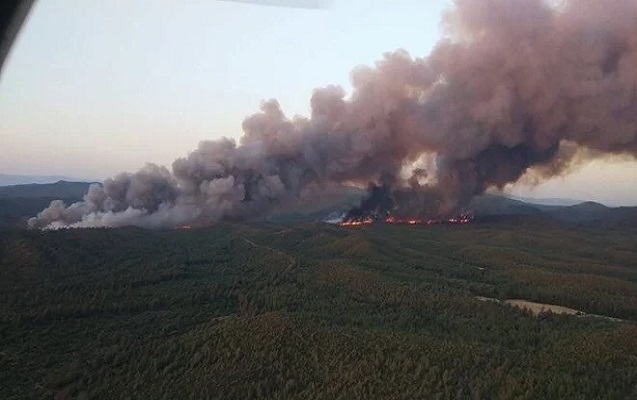 turkiyede-mese-yanir